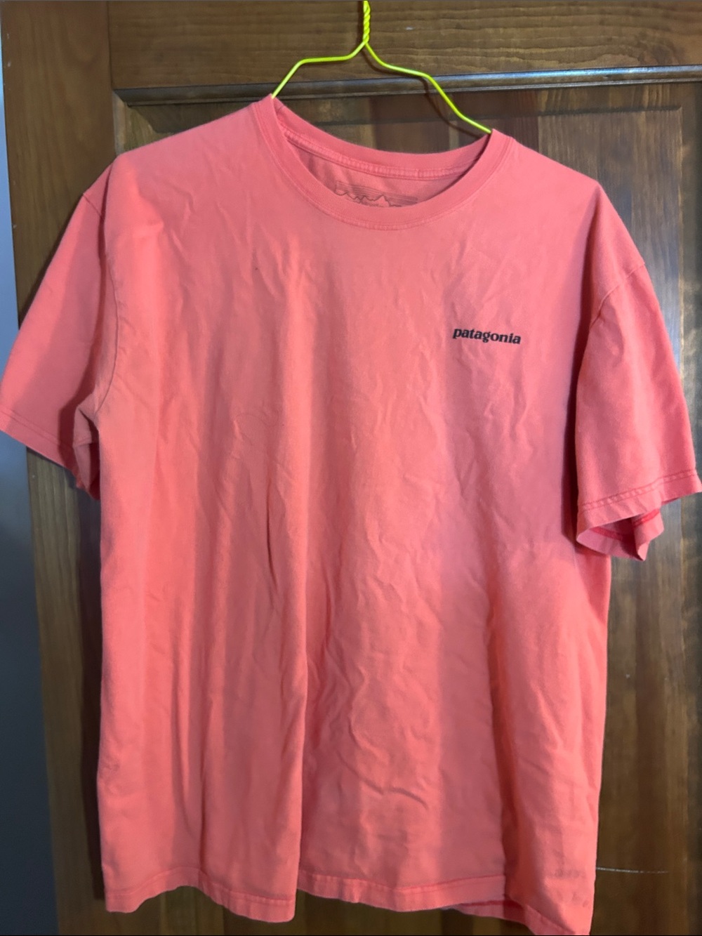 Patagonia Coral Short-Sleeve Logo Tee